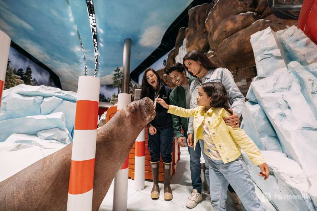 SeaWorld® Yas Island, Abu Dhabi в Абу Даби: Галерея фото zod610