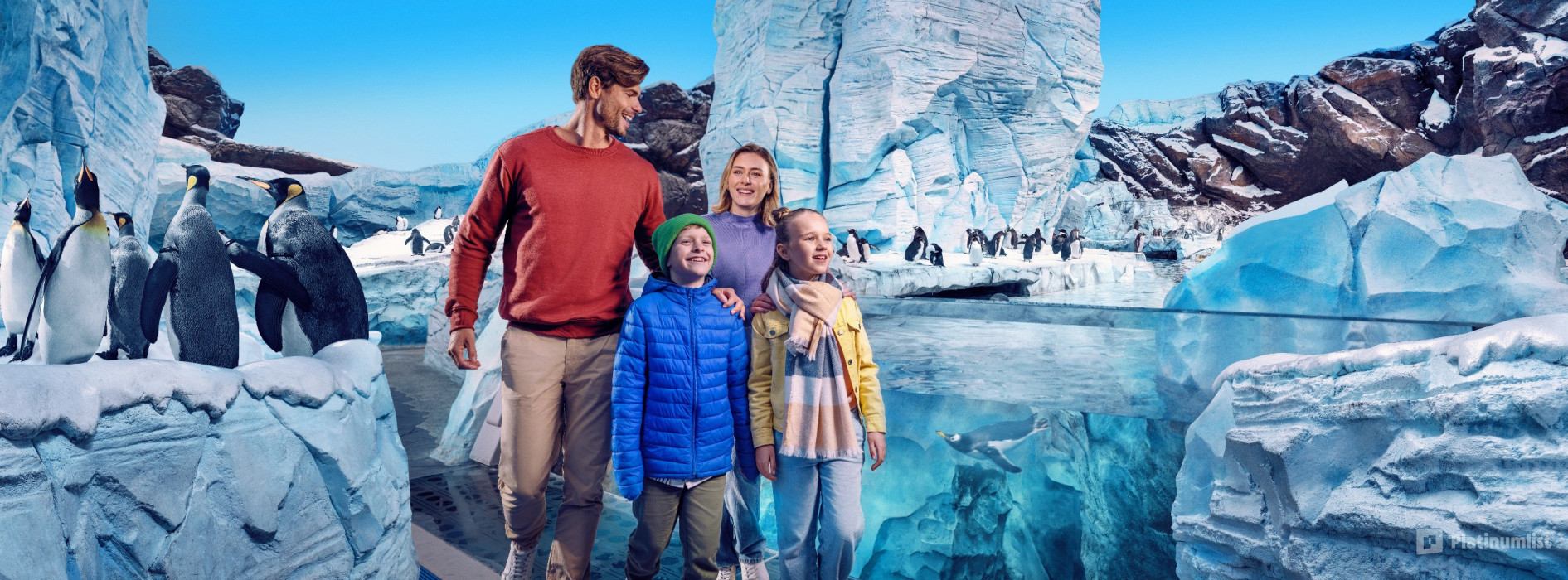 SeaWorld® Yas Island, Abu Dhabi в Абу Даби: Галерея фото 3j52yq