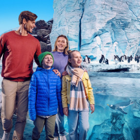 SeaWorld® Yas Island, Abu Dhabi in Abu Dhabi: Gallery Photo 3j52yq