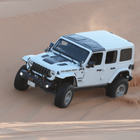 Фотография с Sand storm Trip в Эр-Рияд: Галерея фото 3e785q