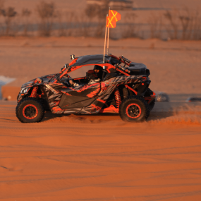 Фотография с Sand storm Trip в Эр-Рияд: Галерея фото zm084y