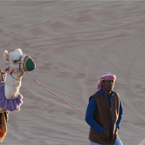 Фотография с Sand storm Trip в Эр-Рияд: Галерея фото n0vo8w