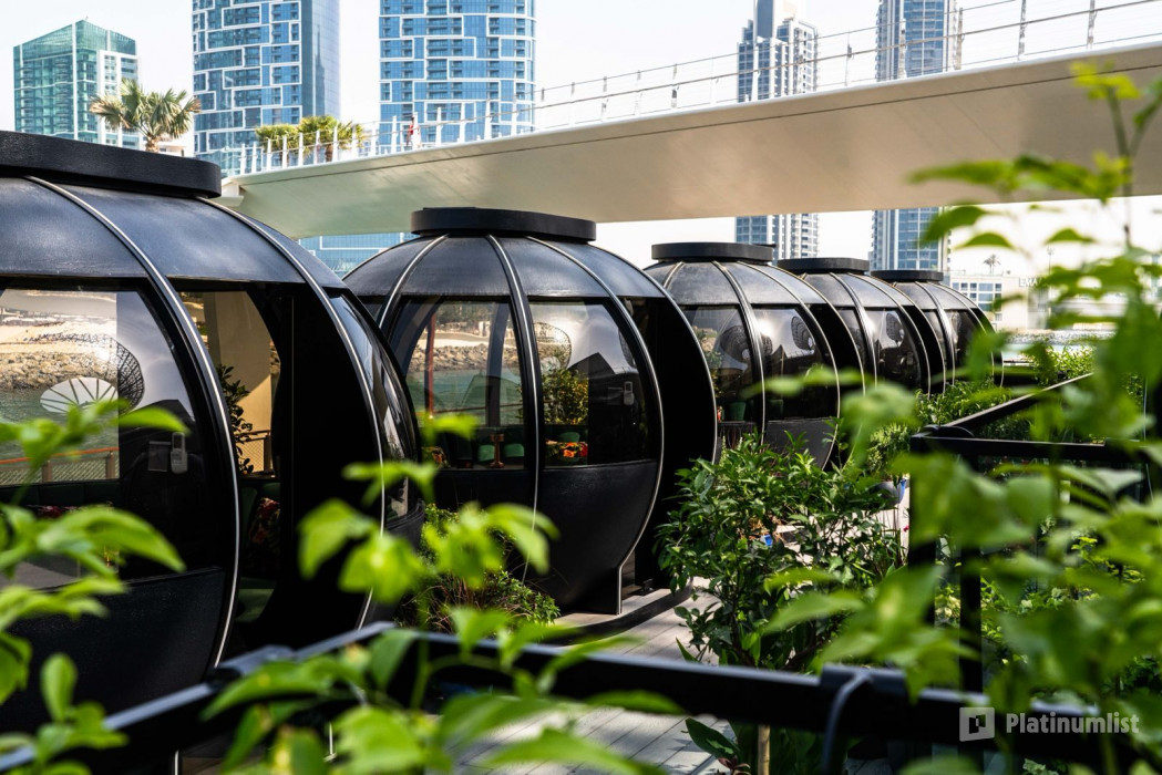 Exclusive 2 Course Festive Lunch - The Pods in Dubai: Gallery Photo 3rwxqv