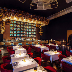 z942yp استديو الصور :دبي في عرض عشاء دريم في دبي