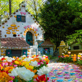 Фотография с Efteling: Entry Ticket в Kaatsheuvel: Галерея фото 34jyy8