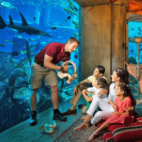 Photo from Lost World Aquarium - As known as Lost Chambers Aquarium in Dubai: Gallery Photo zodg76