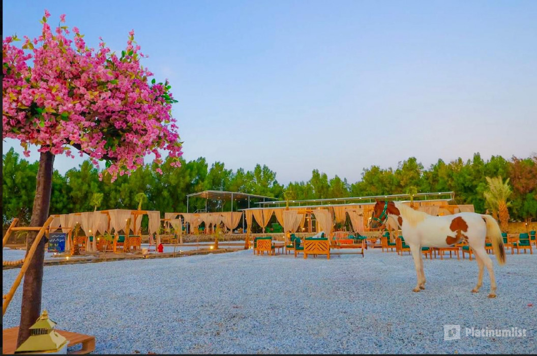 Gzala Camp in Jeddah in Jeddah: Gallery Photo 3e78d9 Gzala Camp in Jeddah in Jeddah: Gallery Photo 3e78d9