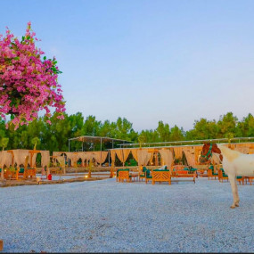 Gzala Camp in Jeddah in Jeddah: Gallery Photo 3e78d9