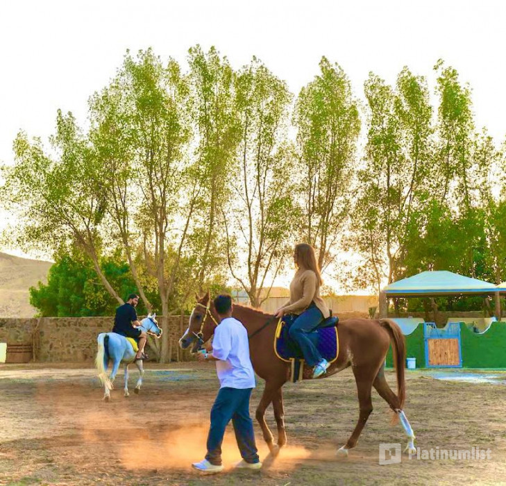 Gzala Camp in Jeddah in Jeddah: Gallery Photo 3rwx4k