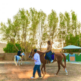 Gzala Camp in Jeddah in Jeddah: Gallery Photo 3rwx4k