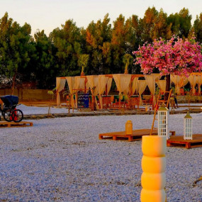 Photo from Gzala Camp in Jeddah in Jeddah: Gallery Photo zw672k