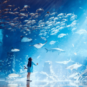 Atlantis Aquaventure Waterpark And Lost World Aquarium в Дубай: Галерея фото 3e78r9