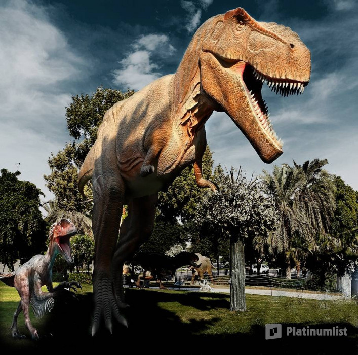 Dubai Garden Glow - Dinosaur Park + Fantasy Park in Dubai: Gallery Photo 38y686