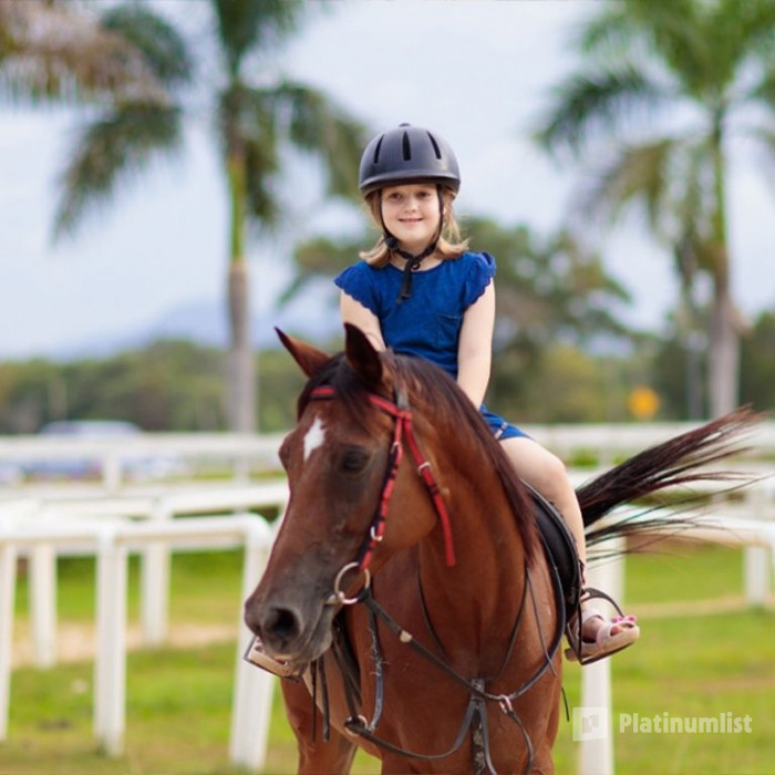 38yxvj استديو الصور :أبوظبي في Pony Ride at Al Forsan