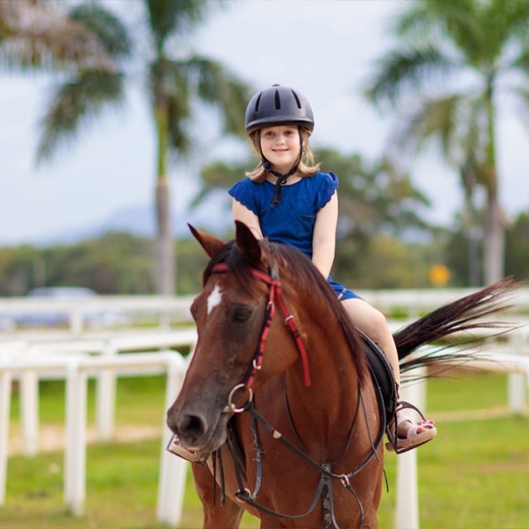 Photo from Pony Ride at Al Forsan in أبوظبي: Gallery Photo 38yxvj