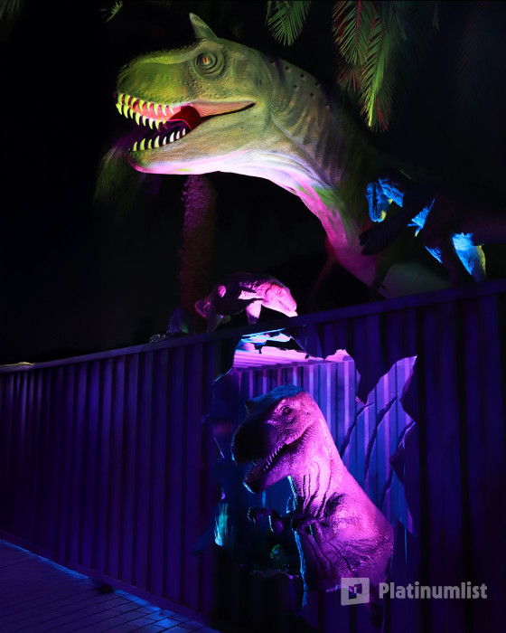 Dubai Frame + Dubai Garden Glow - Combo in Dubai: Gallery Photo zw6rpb