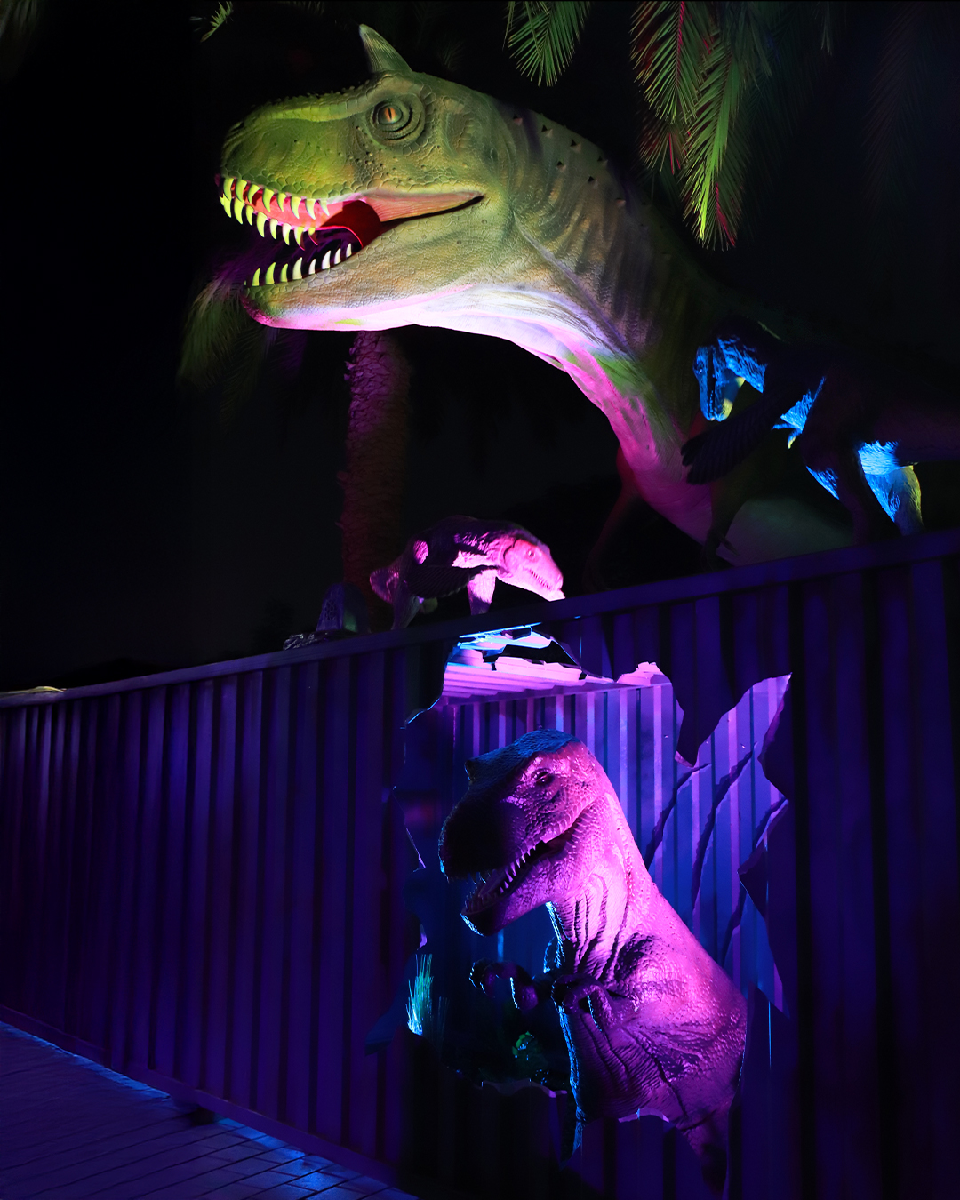 Фотография с Dubai Frame + Dubai Garden Glow - Combo в Дубай: Галерея фото zw6rpb