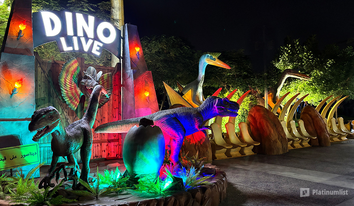 Dubai Frame + Dubai Garden Glow - Combo в Дубай: Галерея фото zv6d87