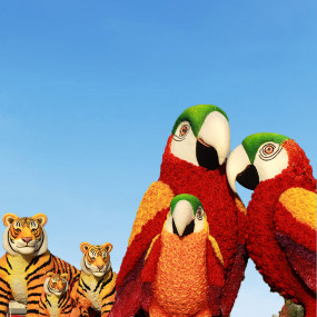 Фотография с Dubai Frame + Dubai Garden Glow - Combo в Дубай: Галерея фото 38yx2r