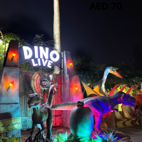 Фотография с Dubai Frame + Dubai Garden Glow - Combo в Дубай: Галерея фото 35yg54