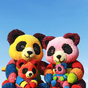 Фотография с Dubai Frame + Dubai Garden Glow - Combo в Дубай: Галерея фото n151xj