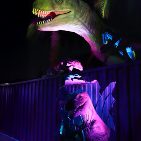 Photo from Dubai Garden Glow - Dinosaur Park + Fantasy Park in Dubai: Gallery Photo 3e7ve0