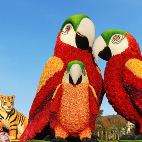 Photo from Dubai Garden Glow - Dinosaur Park + Fantasy Park in Dubai: Gallery Photo 3rw1ov