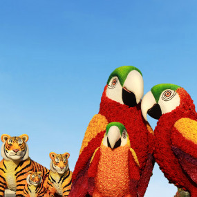 Photo from Dubai Garden Glow - Dinosaur Park + Fantasy Park in Dubai: Gallery Photo 3pjypq