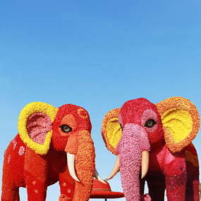 Photo from Dubai Garden Glow - Dinosaur Park + Fantasy Park in Dubai: Gallery Photo 3xv1k8