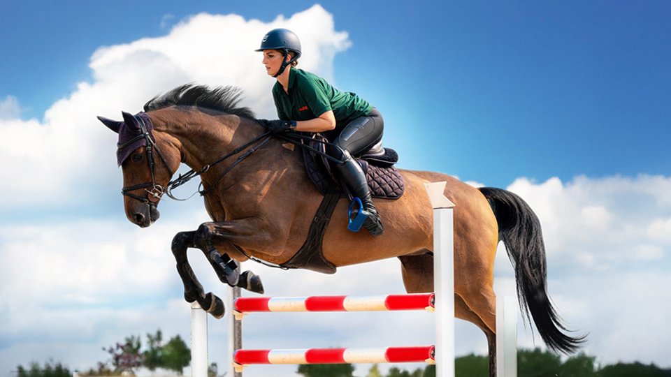 Photo from Equestrian Horse Ride at Al Forsan in Abu Dhabi: Gallery Photo n261ej