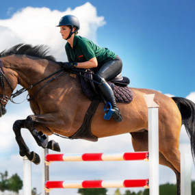 Equestrian Horse Ride at Al Forsan in Abu Dhabi: Gallery Photo n261ej