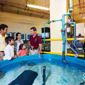 Lost World General Admission + Interactive Trident + Behind the scenes tour in Dubai: Gallery Photo n0v4bv