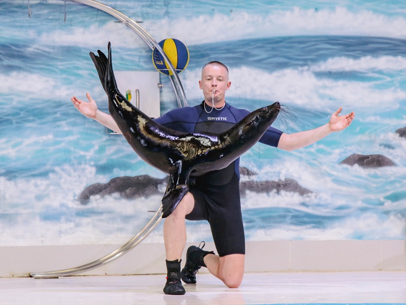 Photo from Qasr Al Watan + Dolphin & Seal Show  - Combo in أبوظبي: Gallery Photo nkeg8v