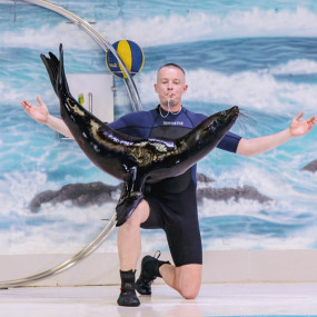 nkeg8v استديو الصور :أبوظبي في Qasr Al Watan + Dolphin & Seal Show  - Combo