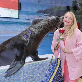 n69om1 استديو الصور :أبوظبي في Qasr Al Watan + Dolphin & Seal Show  - Combo