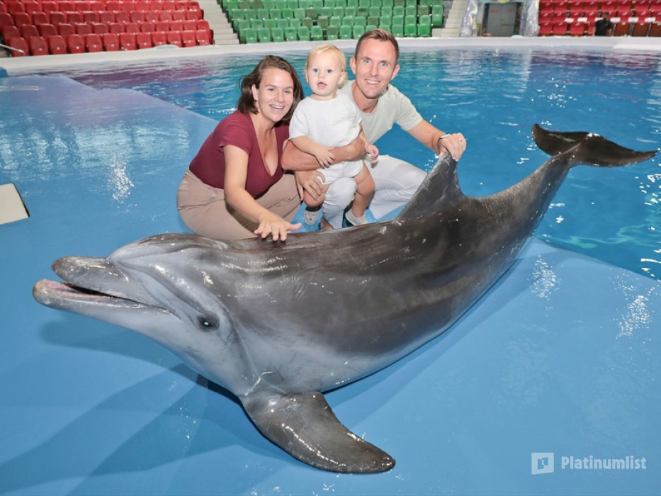 n261m0 استديو الصور :أبوظبي في Qasr Al Watan + Dolphin & Seal Show  - Combo