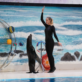 Photo from Qasr Al Watan + Dolphin & Seal Show  - Combo in أبوظبي: Gallery Photo z7xjmk