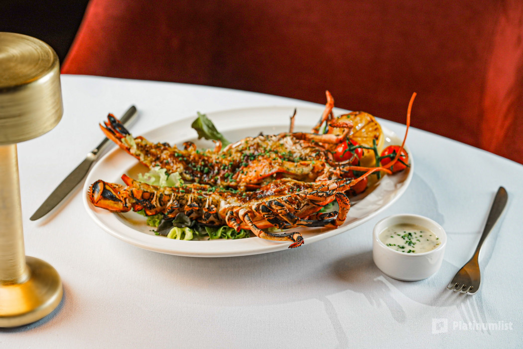 3j5p6j استديو الصور :دبي في ليلة رأس السنة في عشاء دريم دبي 3j5p6j استديو الصور :دبي في ليلة رأس السنة في عشاء دريم دبي