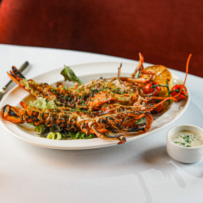 3j5p6j استديو الصور :دبي في ليلة رأس السنة في عشاء دريم دبي