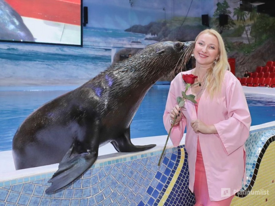 Dolphin & Seal Show + Global Village  - Combo в Дубай: Галерея фото 3yovyb