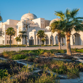 Photo from Dolphin & Seal Show + The View at The Palm Non Prime  - Combo in Dubai: Gallery Photo zg4w98