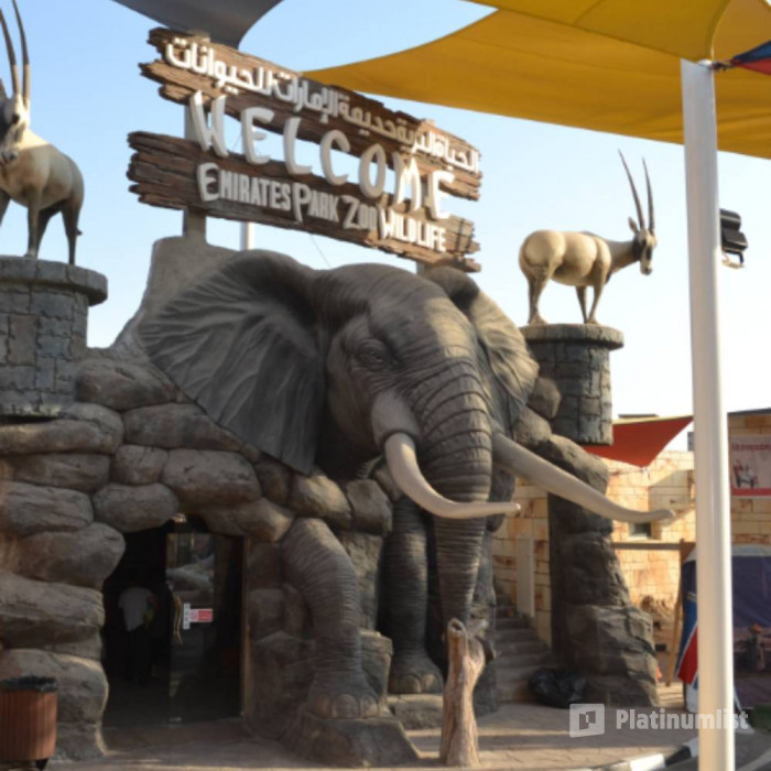 Miracle Garden + Emirates Park Zoo - Combo в Дубай: Галерея фото 34j9vb