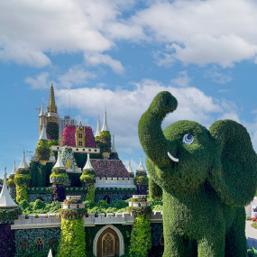 Фотография с Miracle Garden + Emirates Park Zoo - Combo в Дубай: Галерея фото n0v9eq