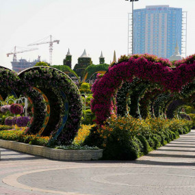 Фотография с Miracle Garden + Emirates Park Zoo - Combo в Дубай: Галерея фото 3qe1pe