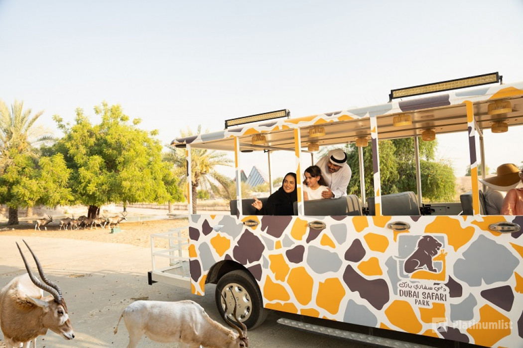 Miracle Garden + Dubai Safari Park - Combo в Дубай: Галерея фото n69pvx
