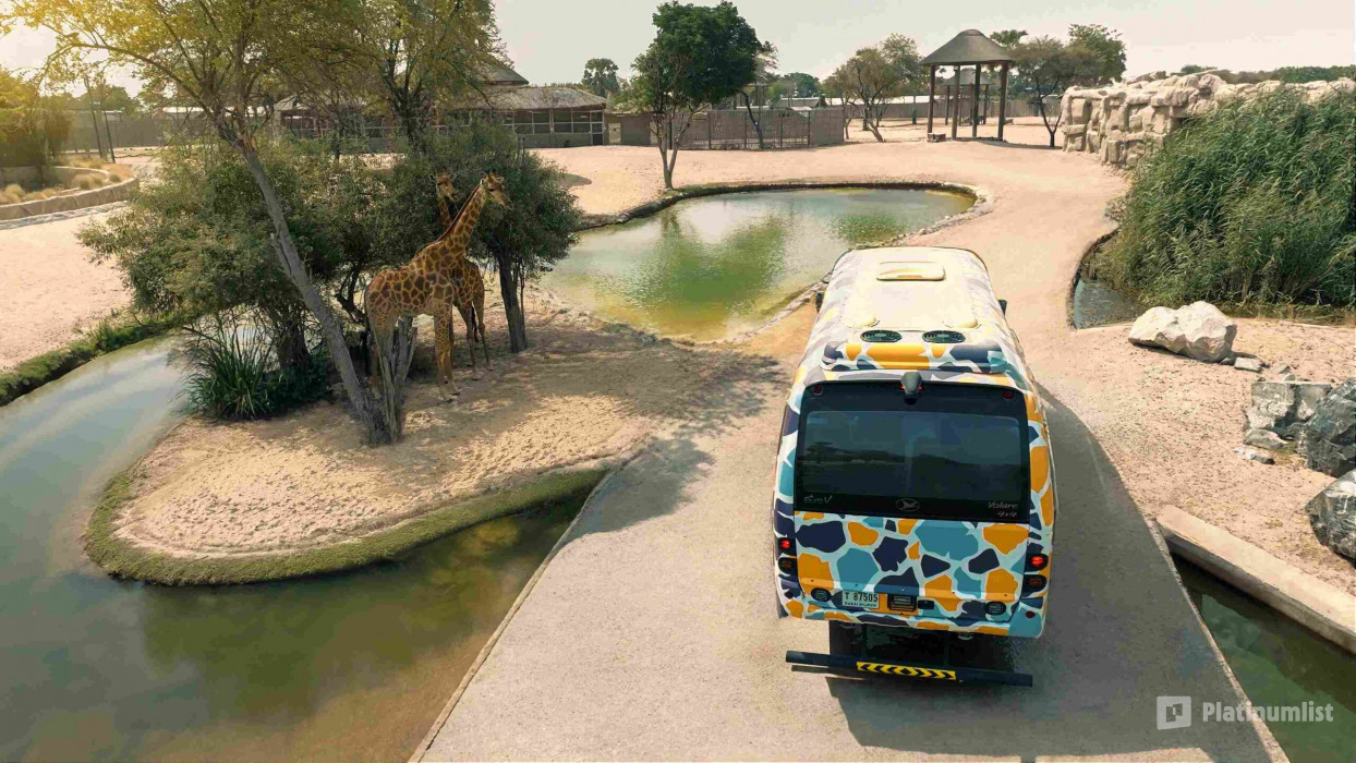 Miracle Garden + Dubai Safari Park - Combo в Дубай: Галерея фото 3d7dqb