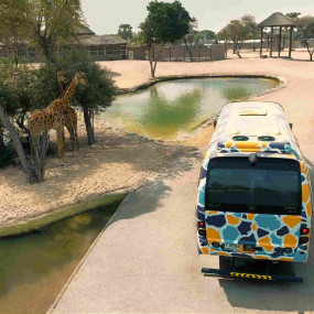 Miracle Garden + Dubai Safari Park - Combo в Дубай: Галерея фото 3d7dqb