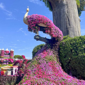 Фотография с Miracle Garden + Dubai Safari Park - Combo в Дубай: Галерея фото 34j94b