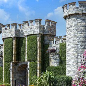 Фотография с Miracle Garden + Dubai Safari Park - Combo в Дубай: Галерея фото 3j57bw