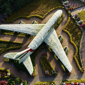 Photo de Miracle Garden + Ski Dubai - Combo dans Dubai : Galerie Photo 3bjmp5